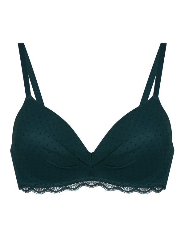 Wired Plunge Bra